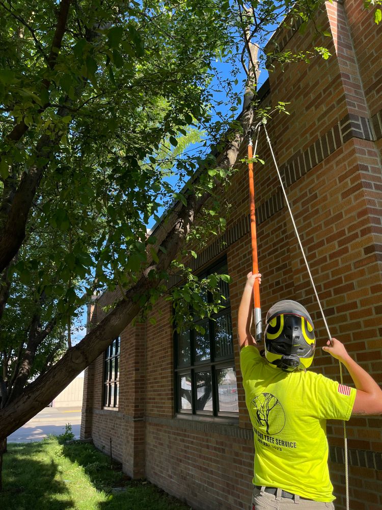 Tree Removal for Clean Cut Tree Service in Gillette, WY