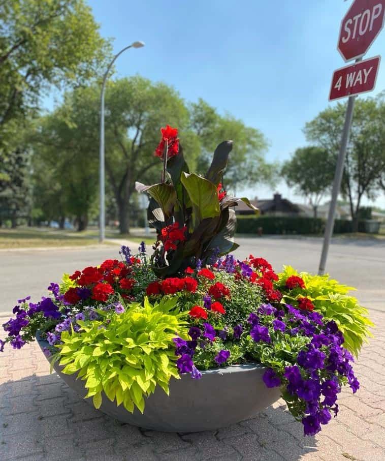 All Photos for Ecogreen Landscape in Denver, CO