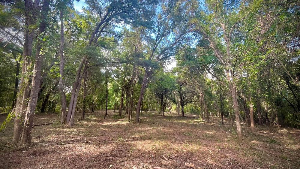 All Photos for Cypress Home Builders in Baker County, FL