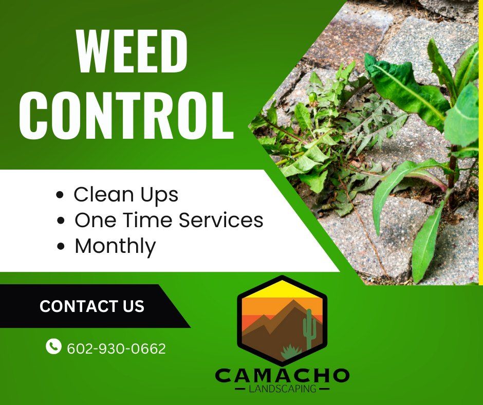 All Photos for Camacho AZ Landscaping in Peoria, AZ