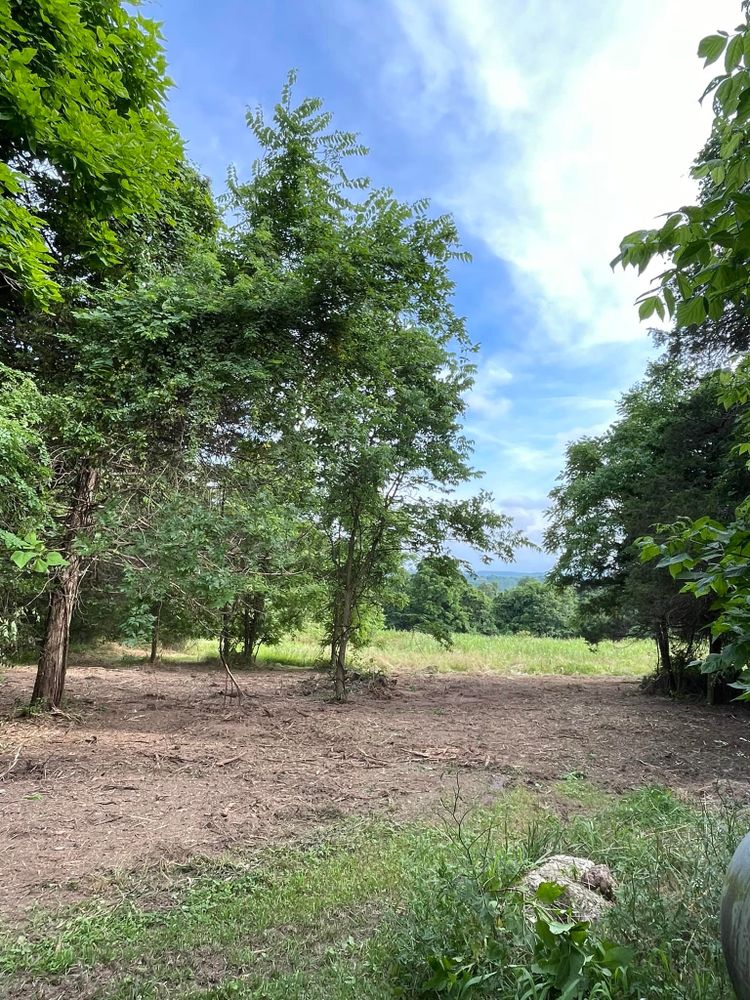 Pasture Reclamation for Bass Land Management in Yellville, AR