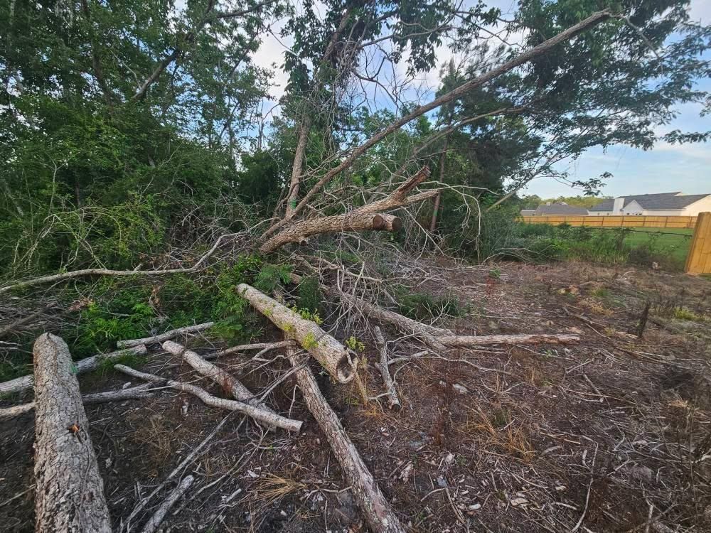 All Photos for Southern Shade Property Service in Ray City, GA