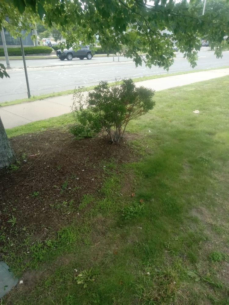 All Photos for K Brown's Property Maintenance in Pittsfield, MA