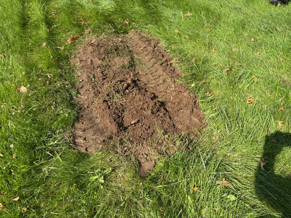 All Photos for Conrad's Stump Removal in Columbus, IN