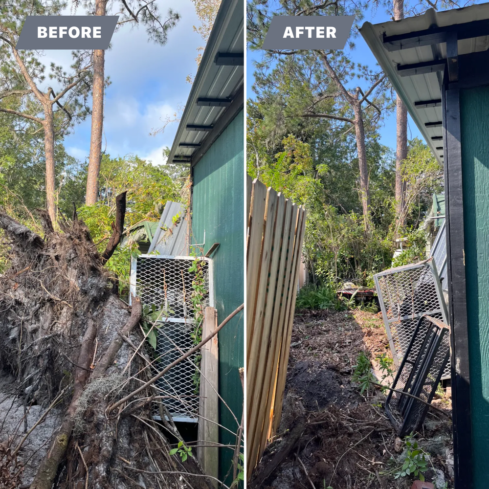 All Photos for Top Notch Tree Experts in Orange Park, FL