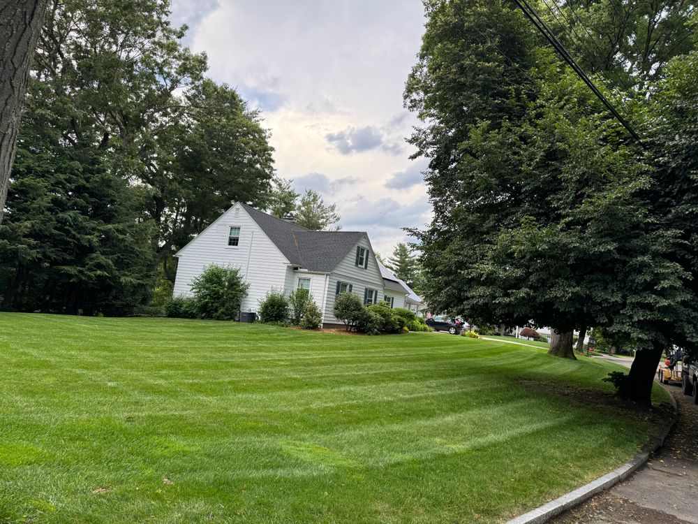 All Photos for Adams Landscaping in Springfield, MA