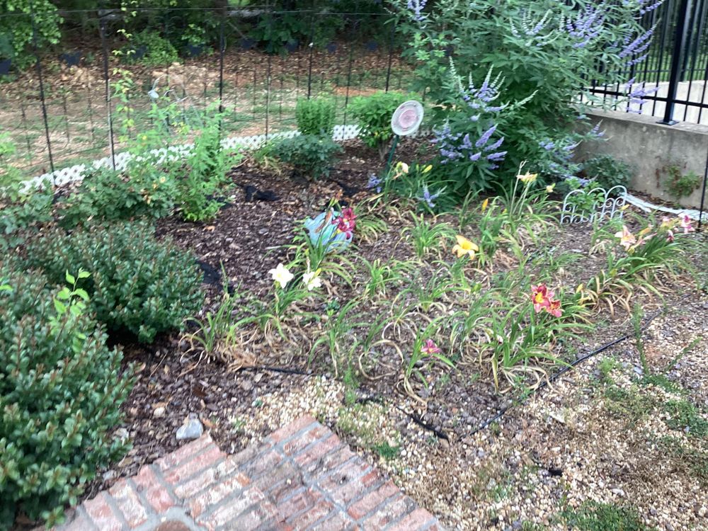 All Photos for Xtreme Landscaping & Lawn Care in Lincoln, AL