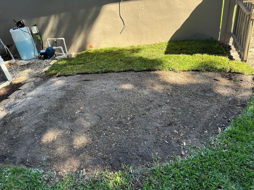 All Photos for Gulf Bay Sod in Clearwater, FL