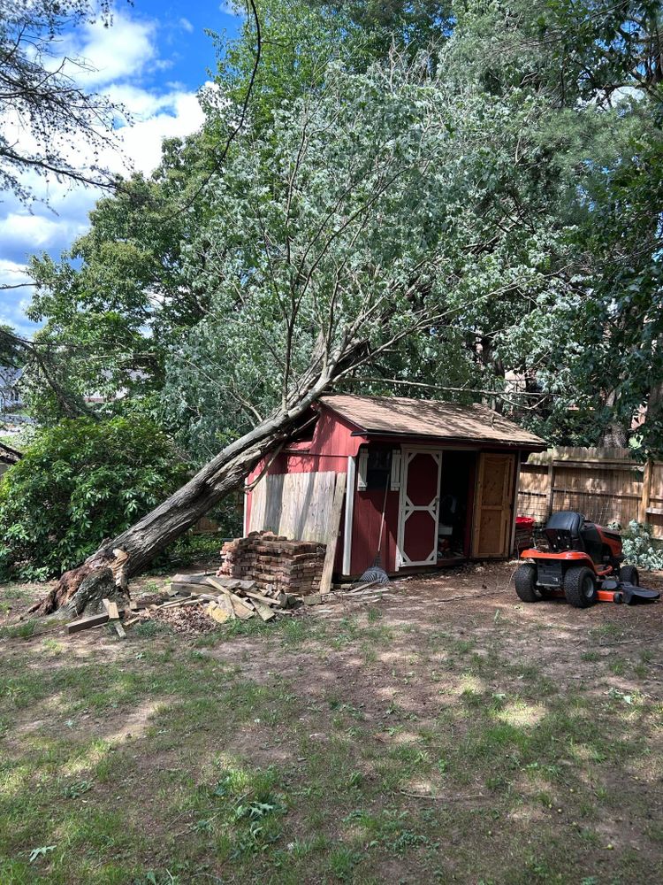 All Photos for NRV Tree Pro, LLC in Narrows, VA