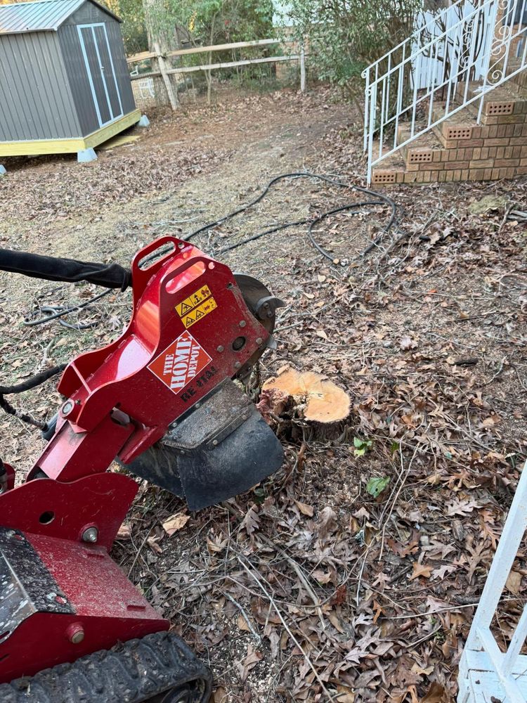 All Photos for Shang's Landscaping Service in Columbia, South Carolina