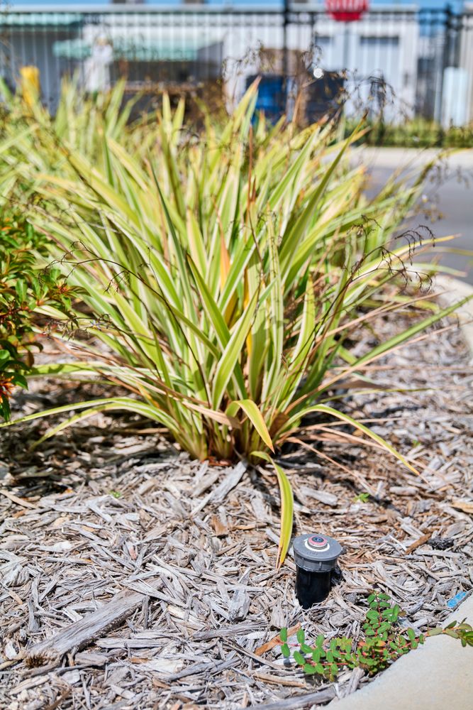 Irrigation for Arazoza Brothers Corporation in Miami, FL