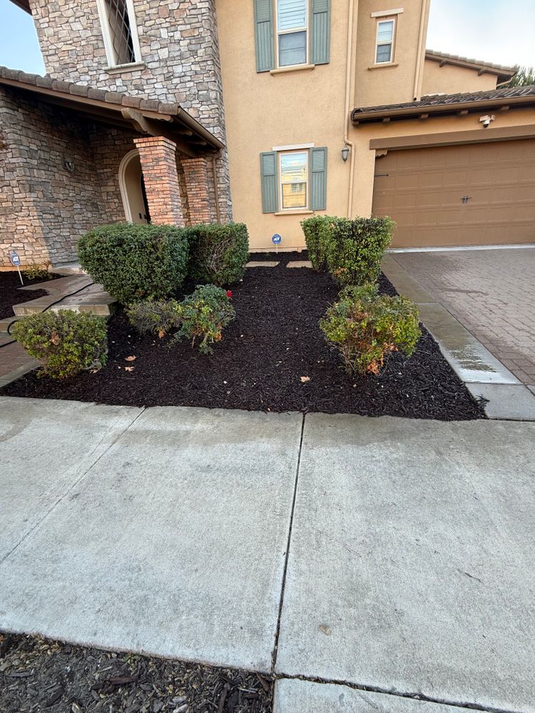 All Photos for CBA Landscaping in Hayward, CA