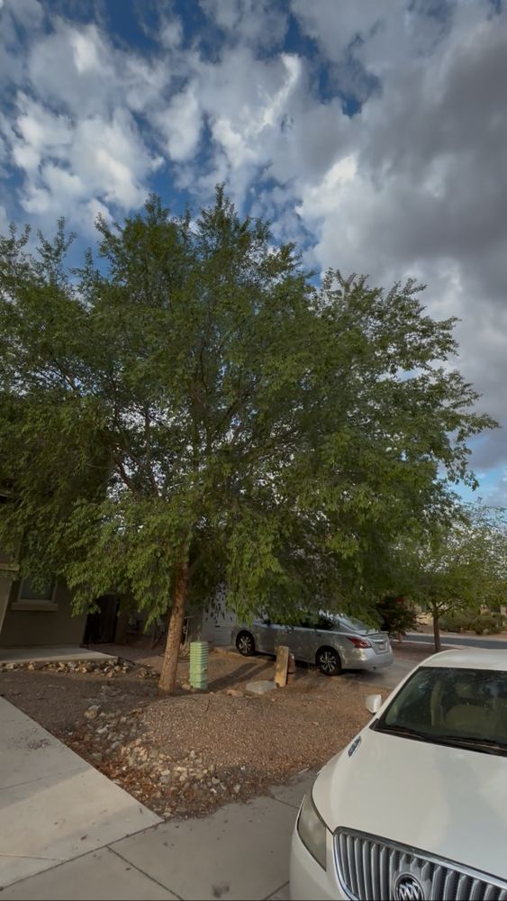 All Photos for Good Hands Landscape in Maricopa, AZ