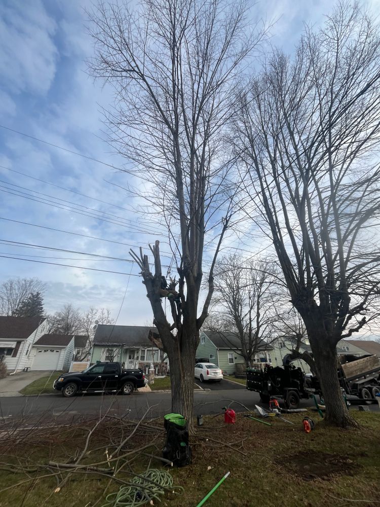 All Photos for Licensed to Cut Tree Service in Athens, PA
