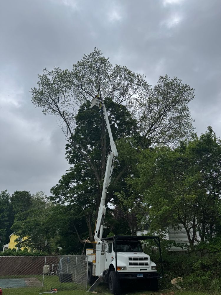 All Photos for Hennessey Tree & Landscape LLC in Oxford,  CT 