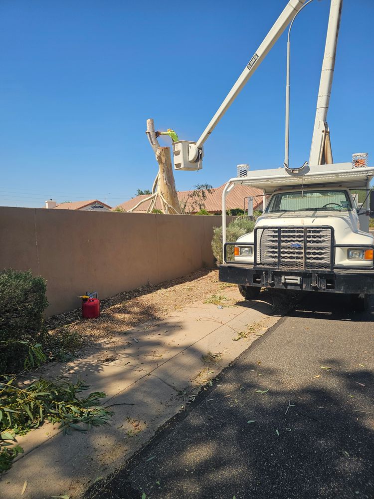 All Photos for T's Tree Service and Firewood in Apache Junction, AZ