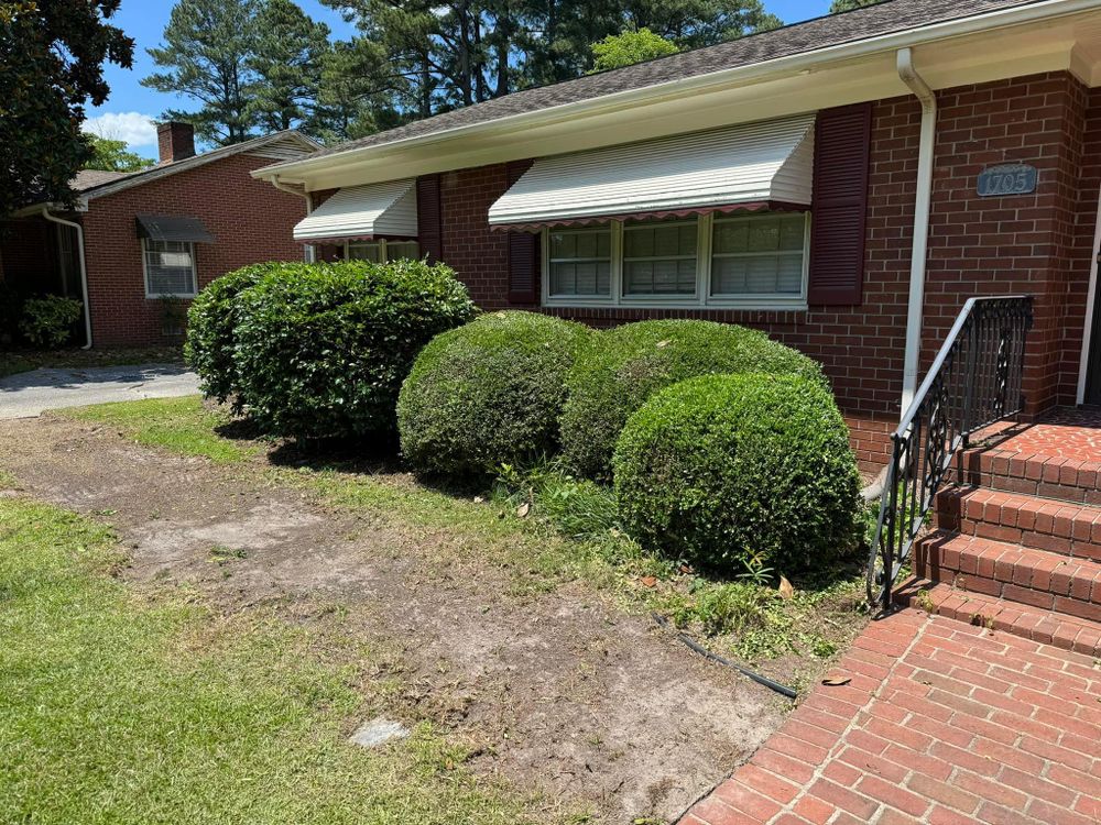 Home Softwash for Sabre's Edge Pressure Washing in Greenville, NC