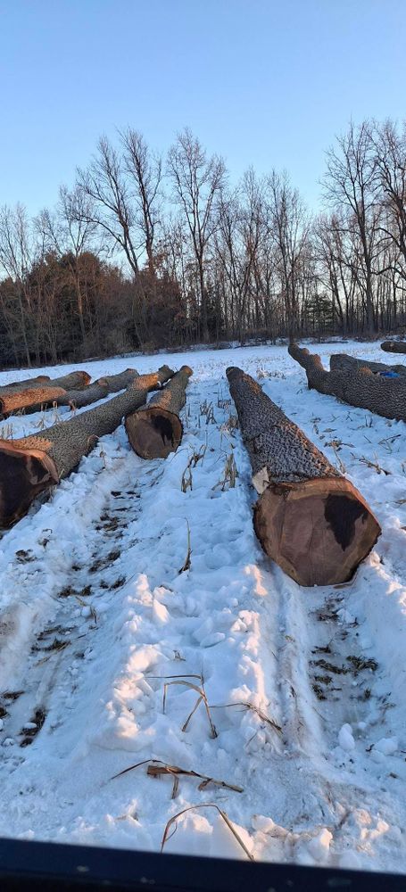 All Photos for God's Country Timber Management in Hillsdale, MI