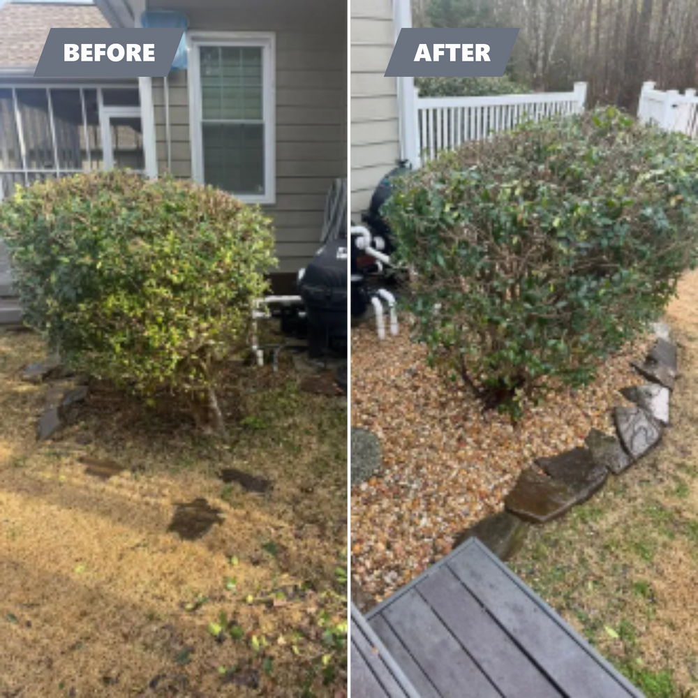 All Photos for Sunrise Lawn Service LLC in Rome, GA