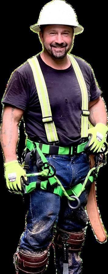 Tree Removal for Clippys Tree Pros in Stayton, OR