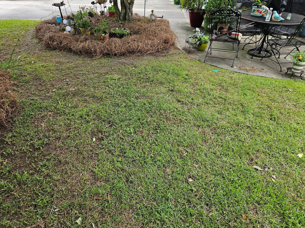 All Photos for 1 Man Does It Lawn Service in Blythewood, SC
