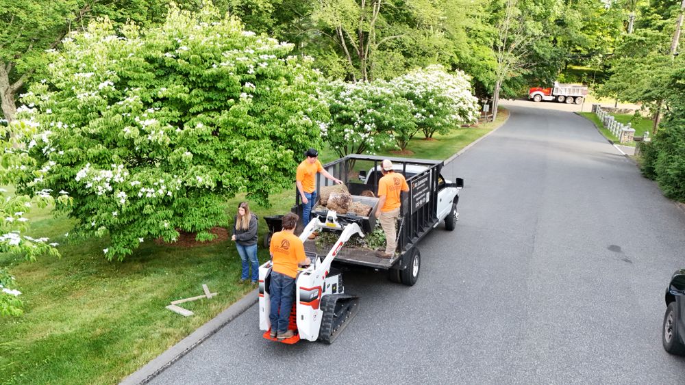 Landscape & Bed Design for Ace Landscaping in Trumbull, CT