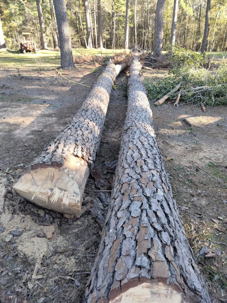 Tree Removal for J&S Tree Services  in Quitman,  TX