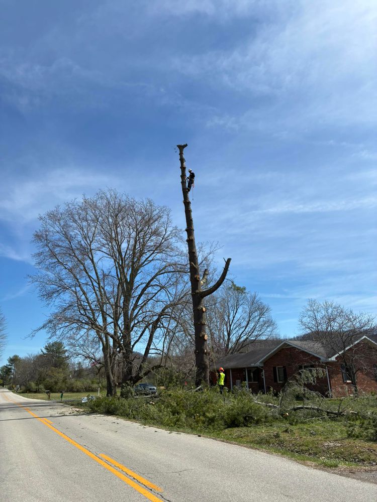 All Photos for Skys The Limit Tree Management in Morehead, KY