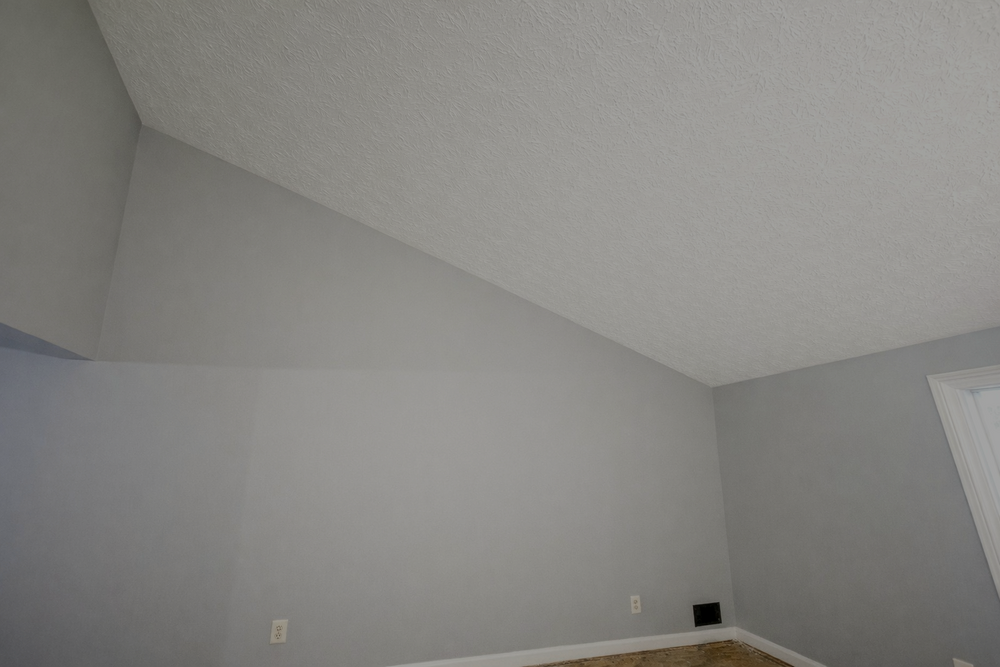 All Photos for Mantis Painting in Kennesaw, GA