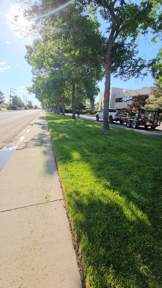 All Photos for NGL Landscape Company in Denver, CO