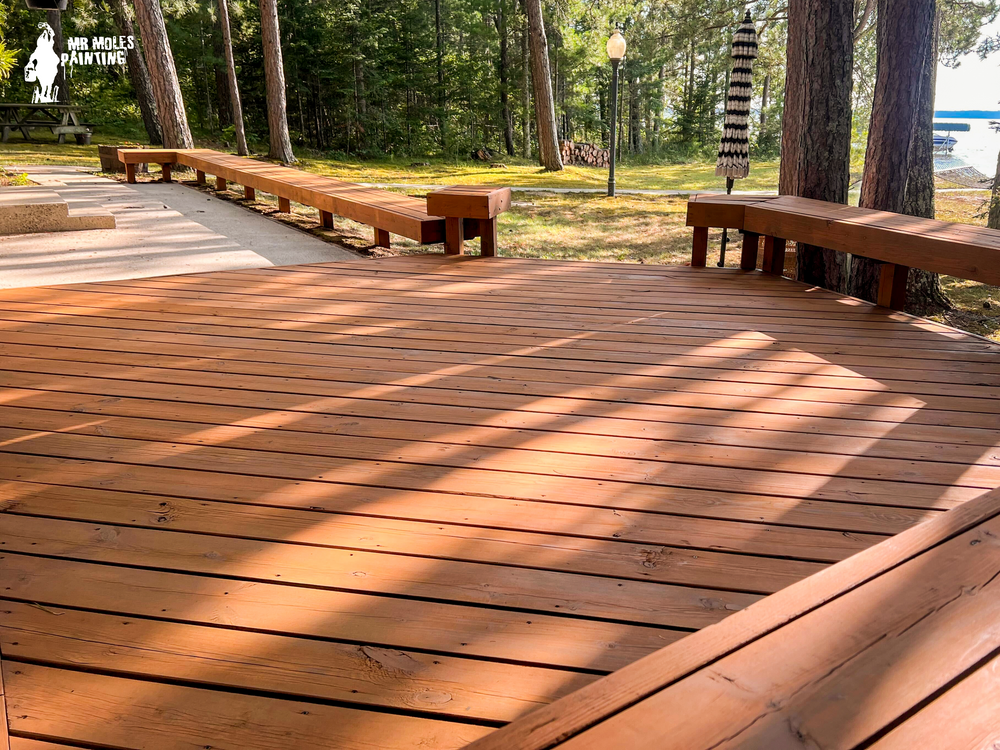 All Photos for Mr. Mole's Painting in Bemidji, MN