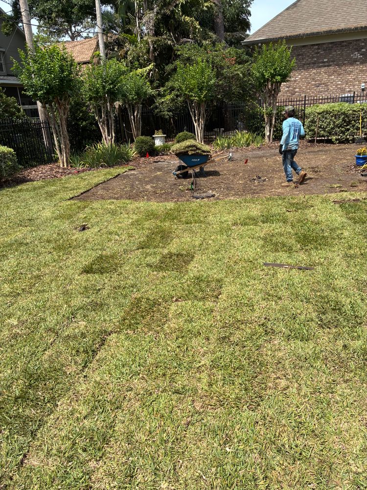 All Photos for Gulf Bay Sod in Clearwater, FL