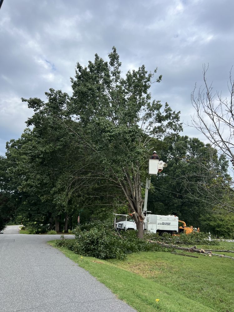 All Photos for Platinum Outdoor Services LLC in Conover, NC