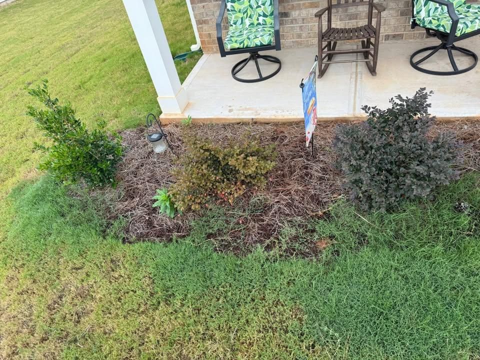 All Photos for Down South Tree Care and Landscaping in Maiden, NC