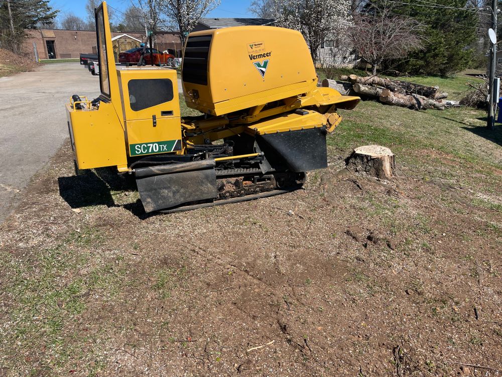 All Photos for Lucky’s Tree Removal and Landscape Services in Knoxville, TN