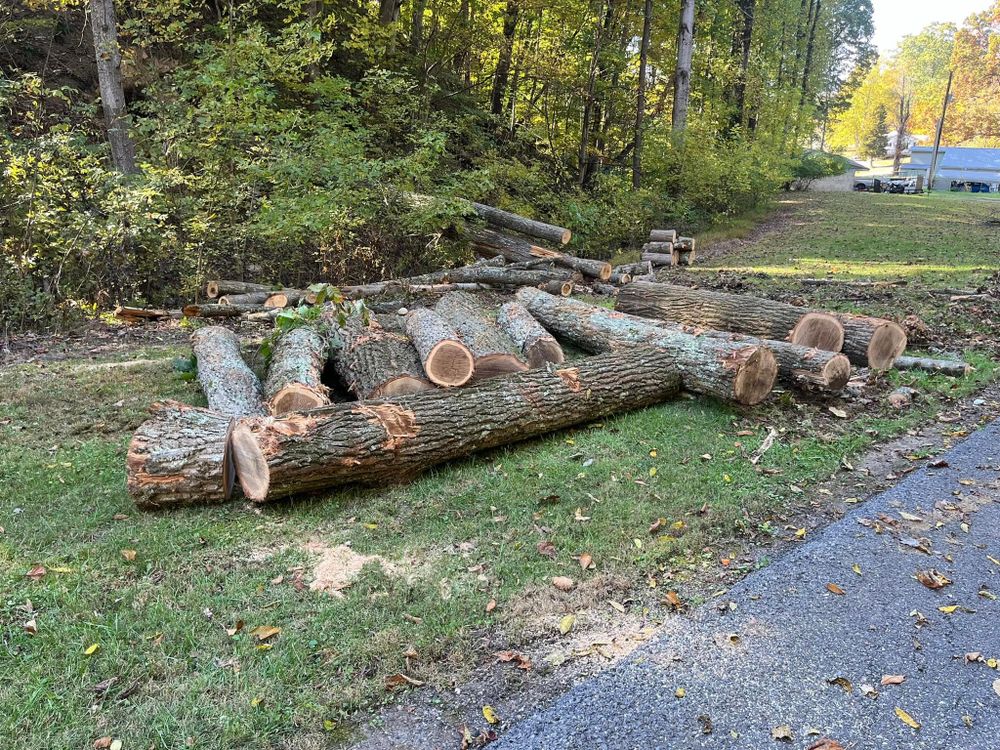 Tree Removal for Brocks Tree Service LLC in Rogersville, TN