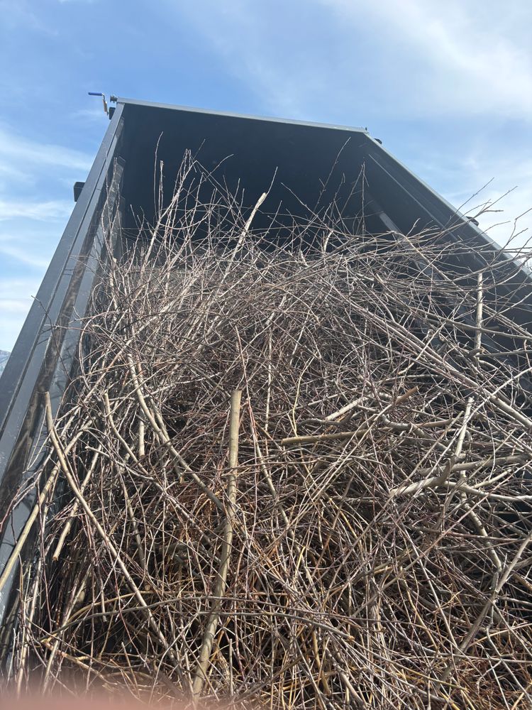 All Photos for Adventure Landscaping in Pleasant View, UT