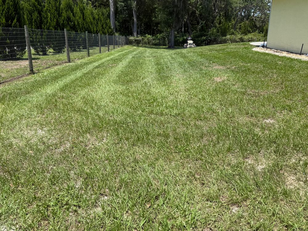 All Photos for Top Gun Lawn Care in Citrus County, FL