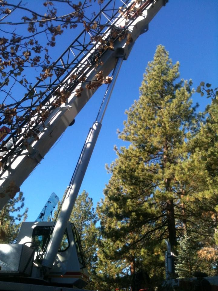 All Photos for Rockwood Tree Service in Incline Village,  NV