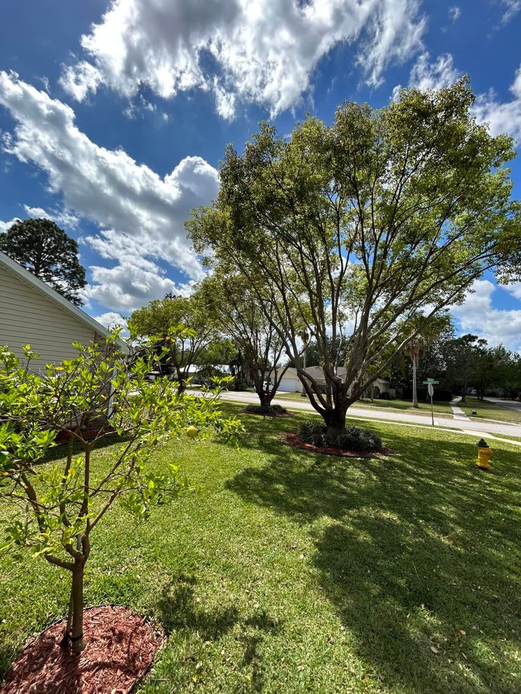 All Photos for Aside from the Rest in Port Orange, FL