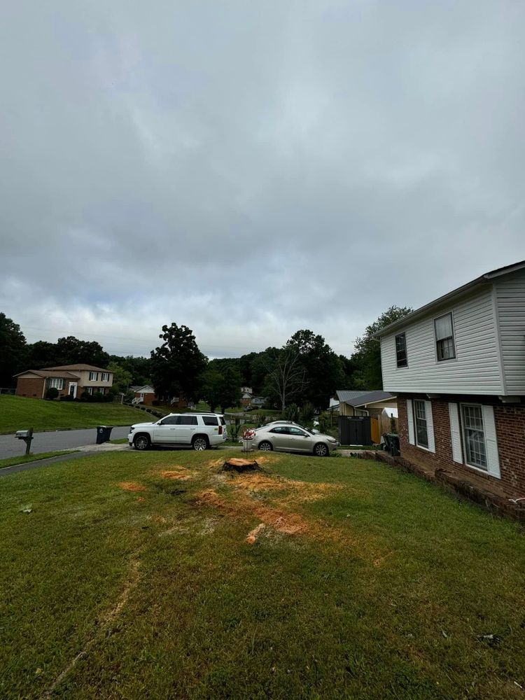 Our Stump Removal service efficiently eliminates unsightly stumps, enhancing your landscape's aesthetic while preventing pest infestations and promoting healthy lawn growth. Trust our experts for a clean, safe outdoor space. for Meade tree service in Greensboro, NC