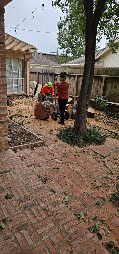 All Photos for Servin's Tree Care  in Houston, TX