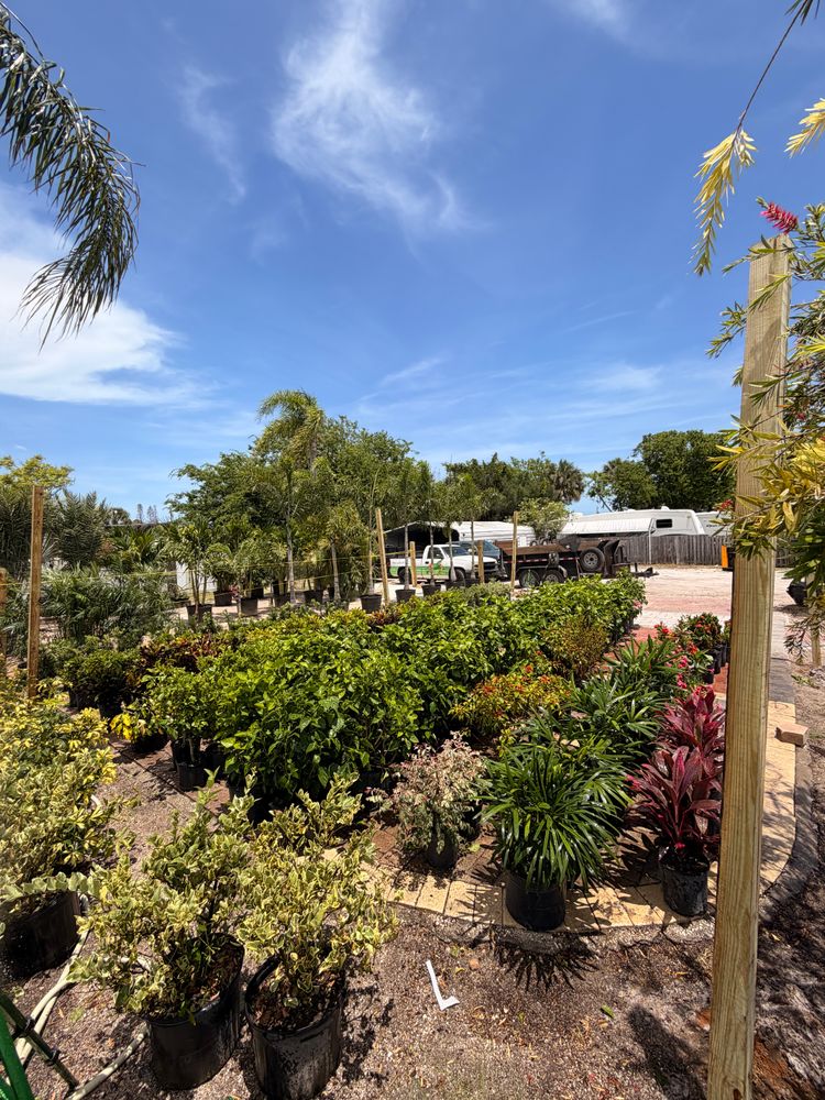 All Photos for Vanic's Landscaping in Port Orange, FL