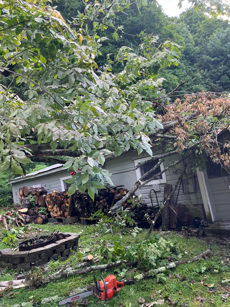 All Photos for Helfert Tree Service in Boonville, NY