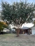 All Photos for Oviedo Land & Garden in Bastrop, TX