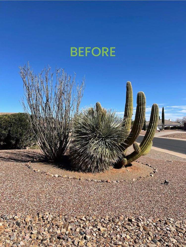 All Photos for A to Z Grounds Keeping in Sierra Vista, AZ