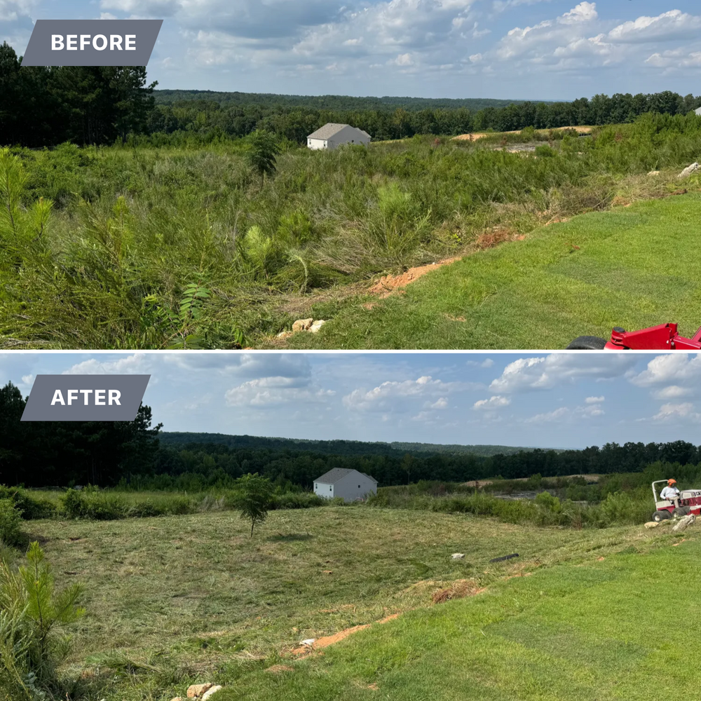 Brush Cutting and Removal for Fayette Property Solutions in Fayetteville, GA