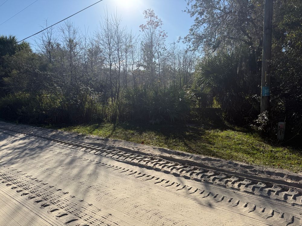 All Photos for Amerigrown Tree And Lawn in Apopka, FL