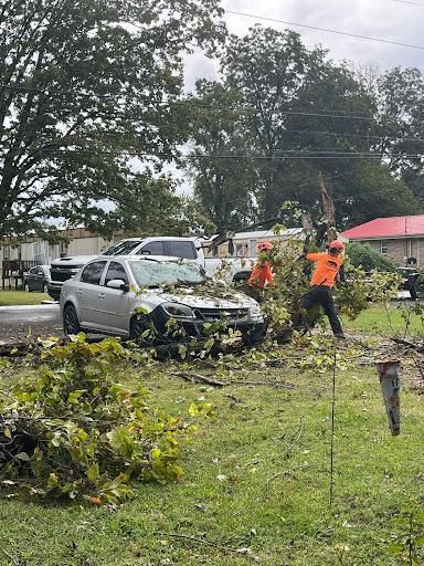 All Photos for Ross Family Tree Service LLC  in Hohenwald, TN