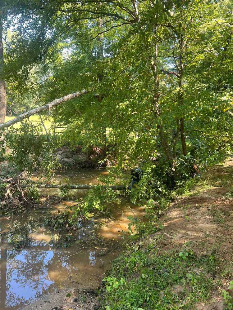 All Photos for Brooks Tree Service in Casar, NC